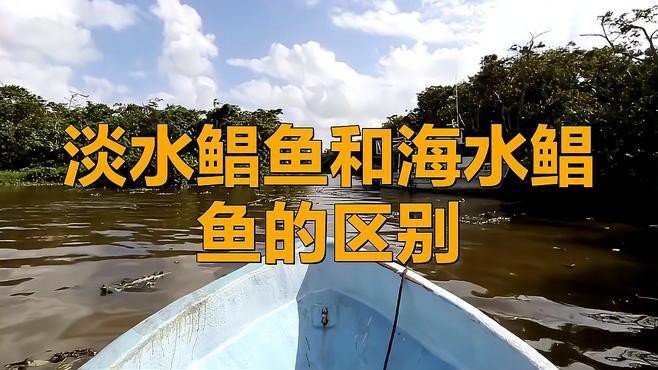 淡水鯧魚和海水鯧魚的區別