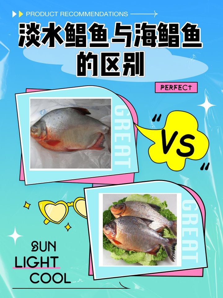 淡水鯧魚和海水鯧魚的區別