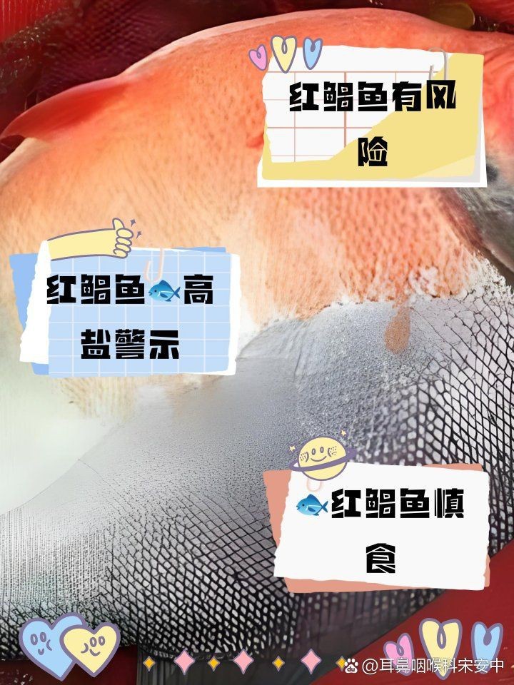 紅鯧魚為何不建議吃