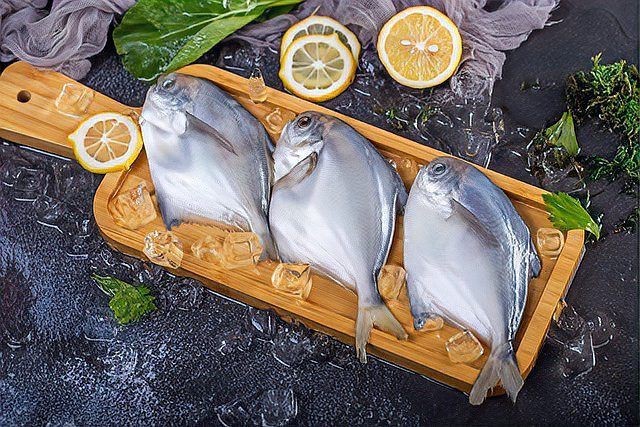 紅鯧魚為何不建議吃