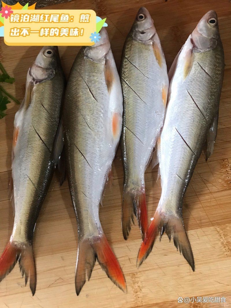 紅尾魚的吃法