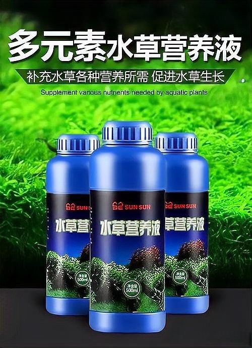 龍魚缸水草需要施肥嗎？