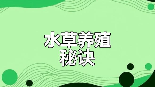 龍魚缸水草需要施肥嗎？