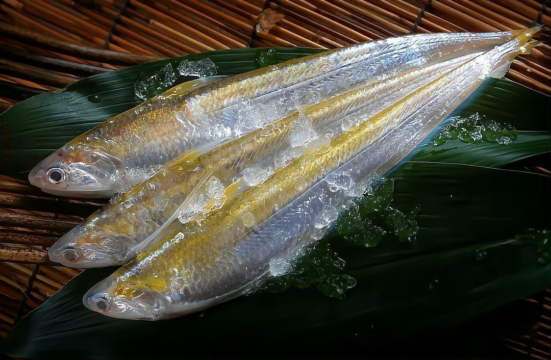 十大最好吃的淡水魚 十大最好吃的淡水魚 龍魚論壇 第4張