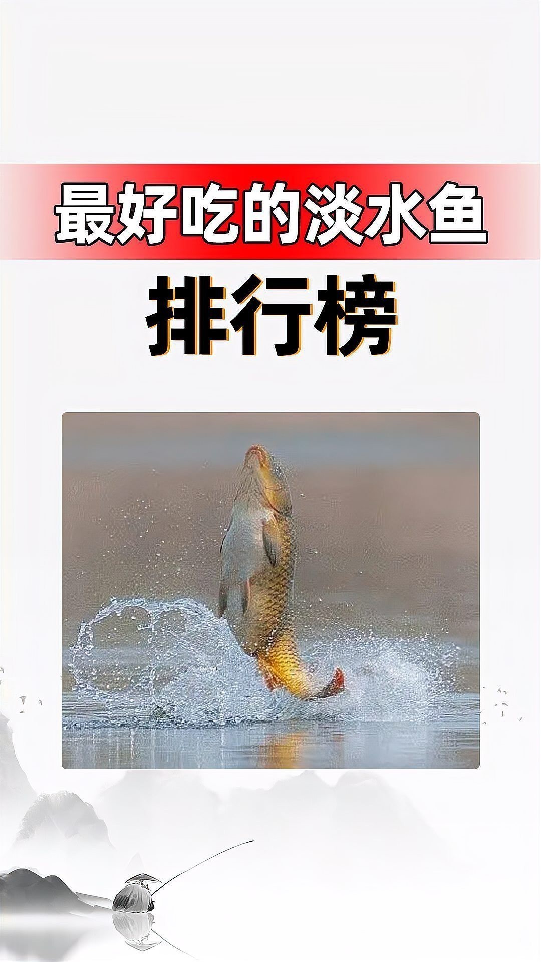 十大最好吃的淡水魚 十大最好吃的淡水魚 龍魚論壇 第9張
