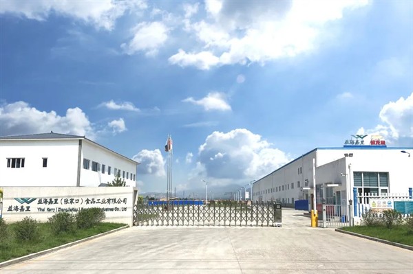 銀龍魚嘴爛了用什么藥治療最好(銀龍魚爛嘴怎么回事)