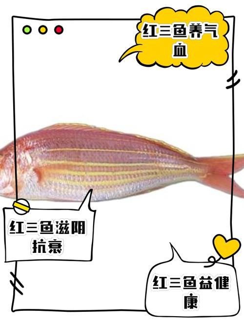 紅三線魚(yú)圖片