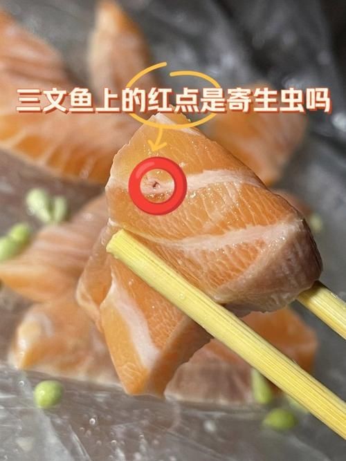 紅三線魚圖片
