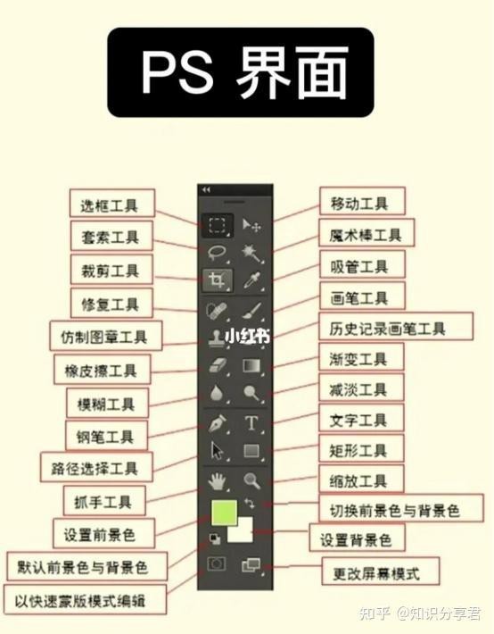 如何拍攝龍魚攝影作品？ 如何拍攝龍魚攝影作品？ 龍魚百科 第5張