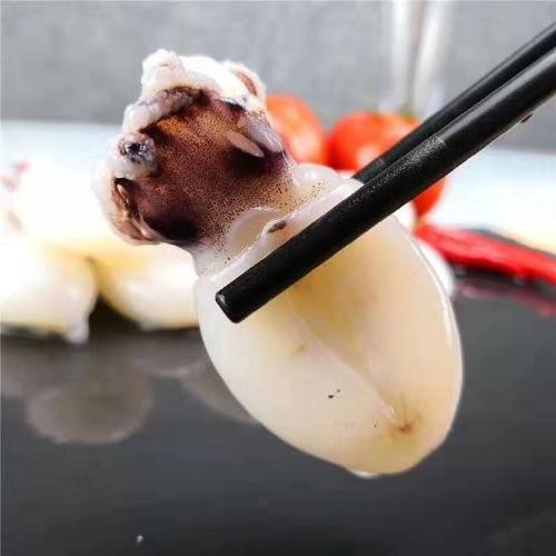 海水黃龍魚介紹圖片