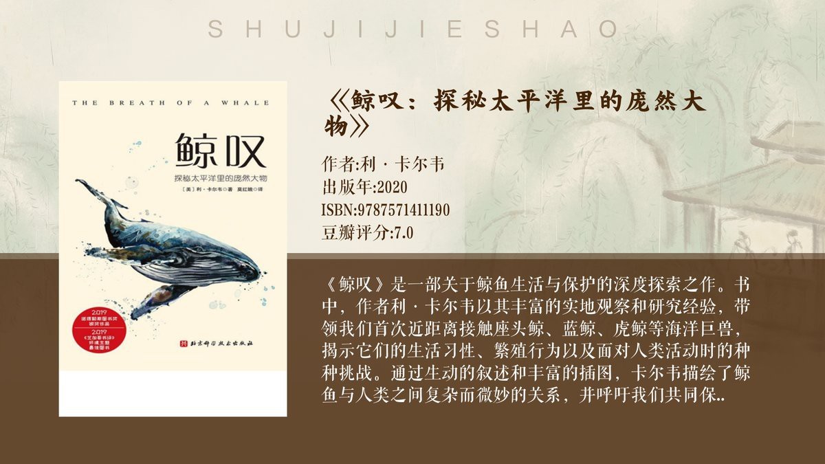 大嘴鯨能活多久 大嘴鯨能活多久 龍魚論壇 第2張