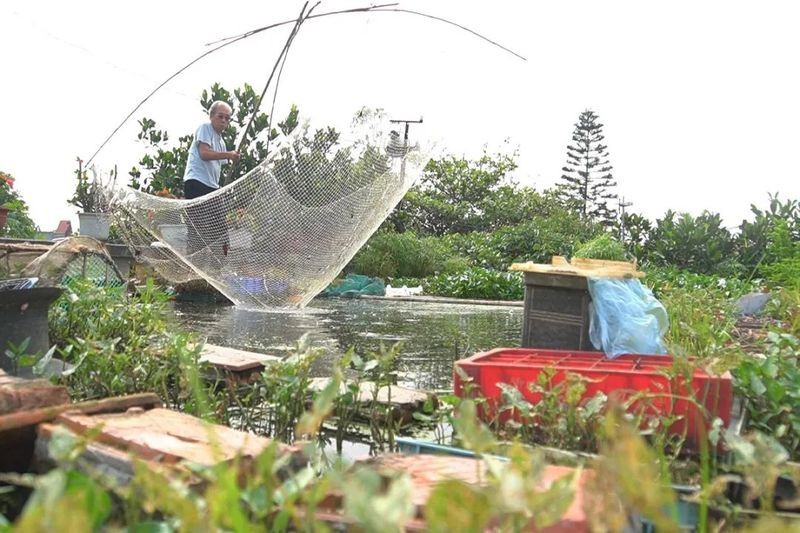 淡水魚100升水放多少鹽 淡水魚100升水放多少鹽 龍魚論壇 第3張