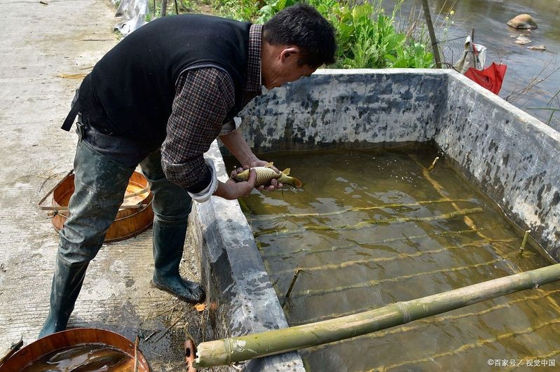 淡水魚100升水放多少鹽 淡水魚100升水放多少鹽 龍魚論壇 第6張