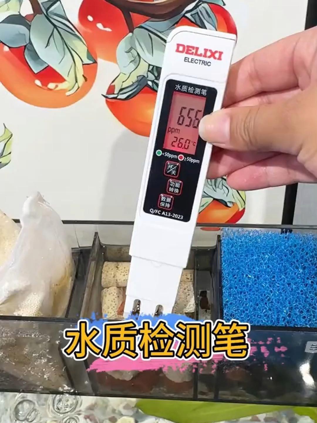 如何預防龍魚感染鰓病？