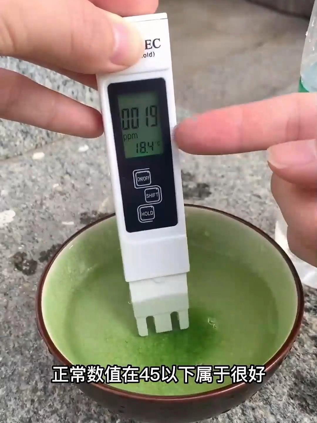 如何預防龍魚感染鰓病？