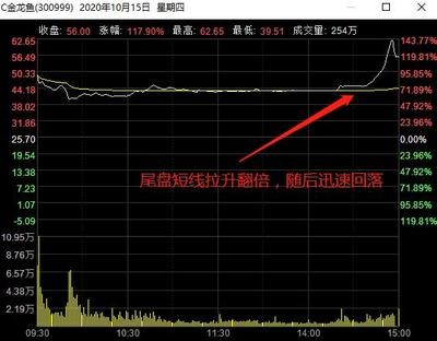 觀賞魚銀龍魚多少錢一條啊(觀賞魚銀龍魚多少錢一條啊)