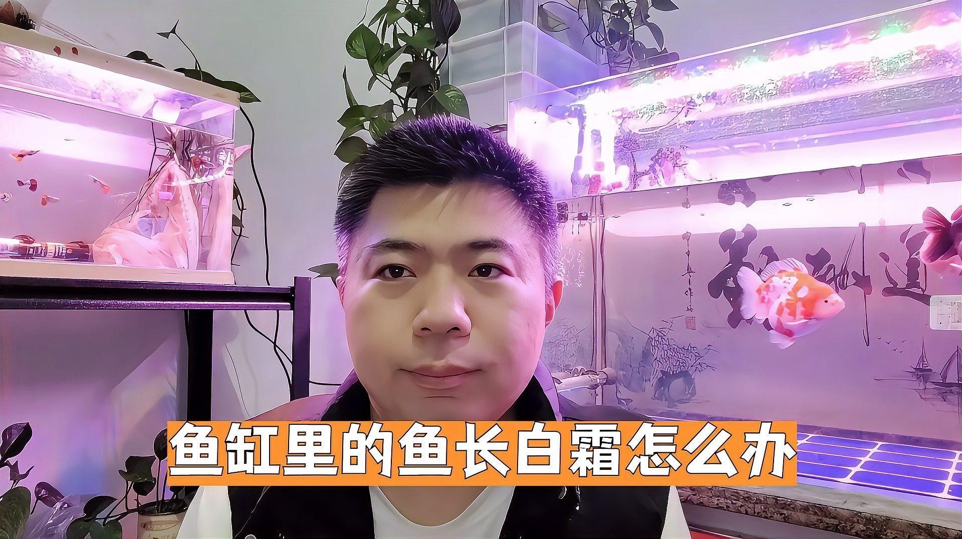 魚起白霜什么原因