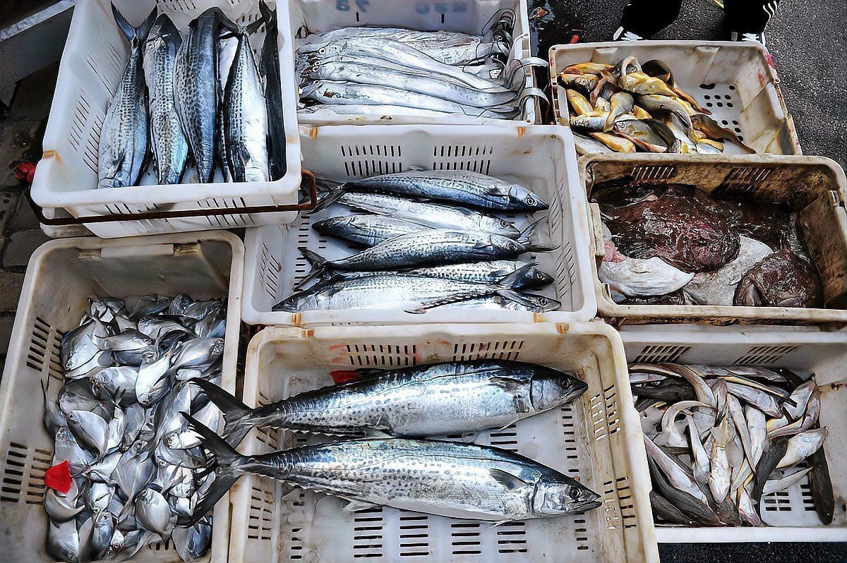 水產(chǎn)魚藥十大品牌排行榜