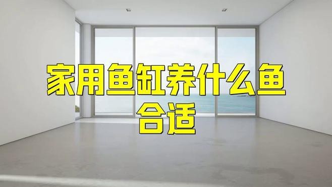 家庭魚缸養什么魚最好 家庭魚缸養什么魚最好 龍魚論壇 第1張