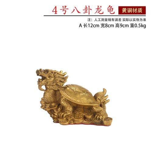 風(fēng)水龍龜圖片 風(fēng)水龍龜圖片 龍魚(yú)論壇 第12張