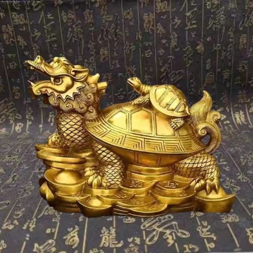 風(fēng)水龍龜圖片 風(fēng)水龍龜圖片 龍魚(yú)論壇 第14張