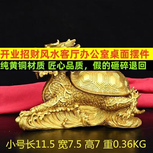 風(fēng)水龍龜圖片 風(fēng)水龍龜圖片 龍魚(yú)論壇 第13張