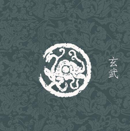 風(fēng)水龍龜圖片 風(fēng)水龍龜圖片 龍魚(yú)論壇 第27張