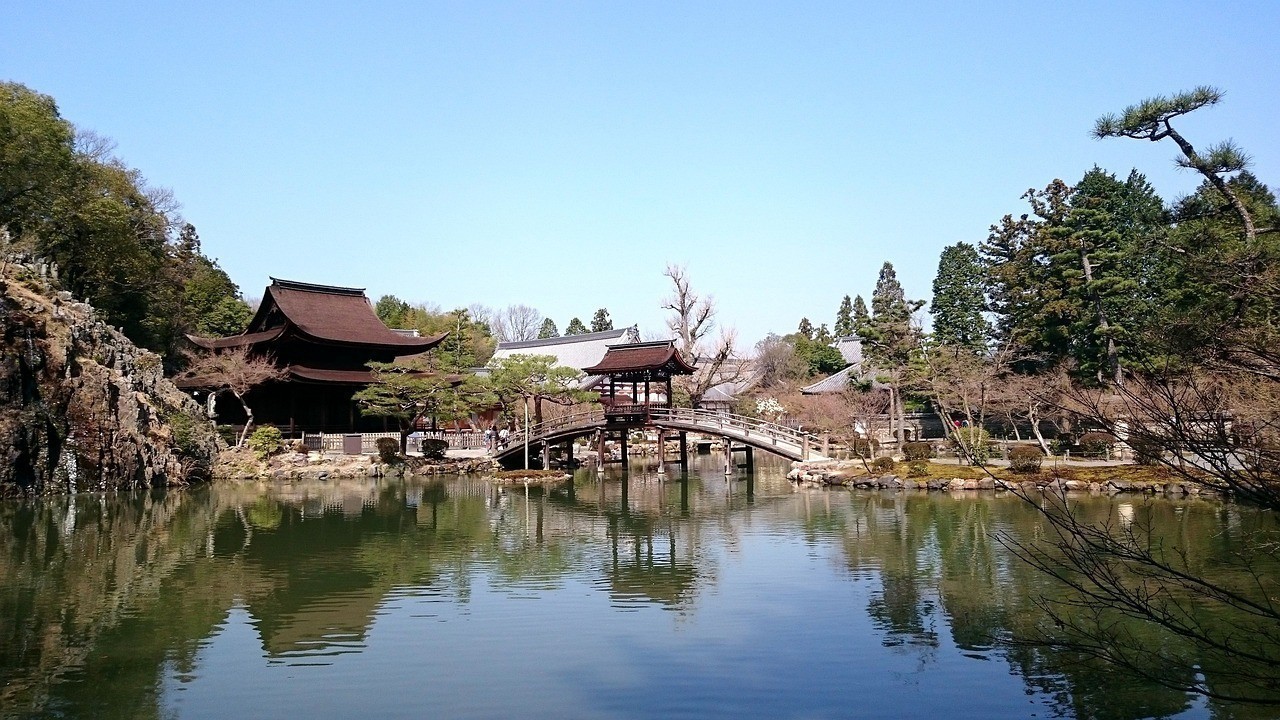 彰武縣四堡子鄉國棟水族館（彰武縣四堡子鄉國棟水族館電話）
