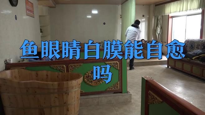 龍魚眼睛白色凸起能自行用藥嗎？