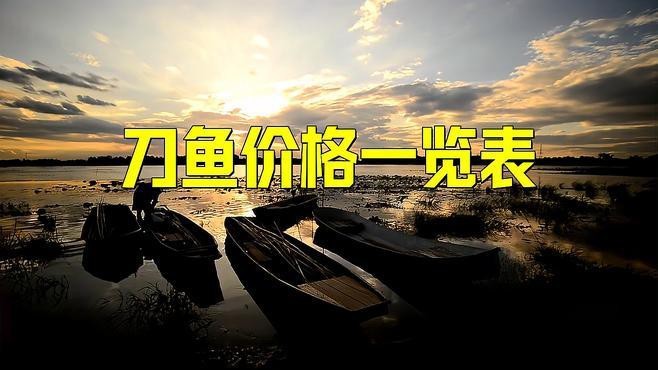 刀魚目前市場價多少一斤 刀魚目前市場價多少一斤 龍魚論壇 第1張