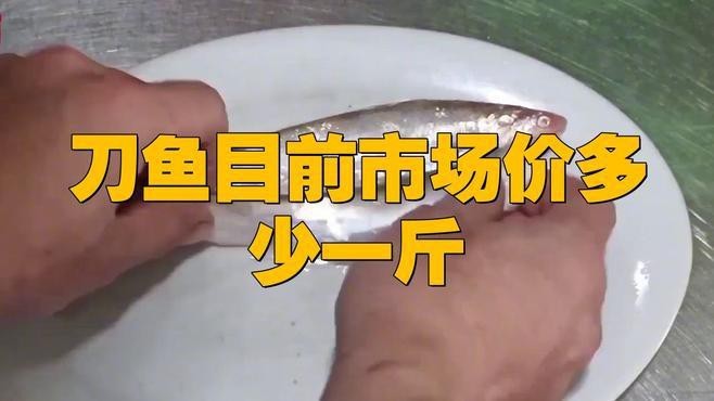 刀魚目前市場價多少一斤 刀魚目前市場價多少一斤 龍魚論壇 第2張