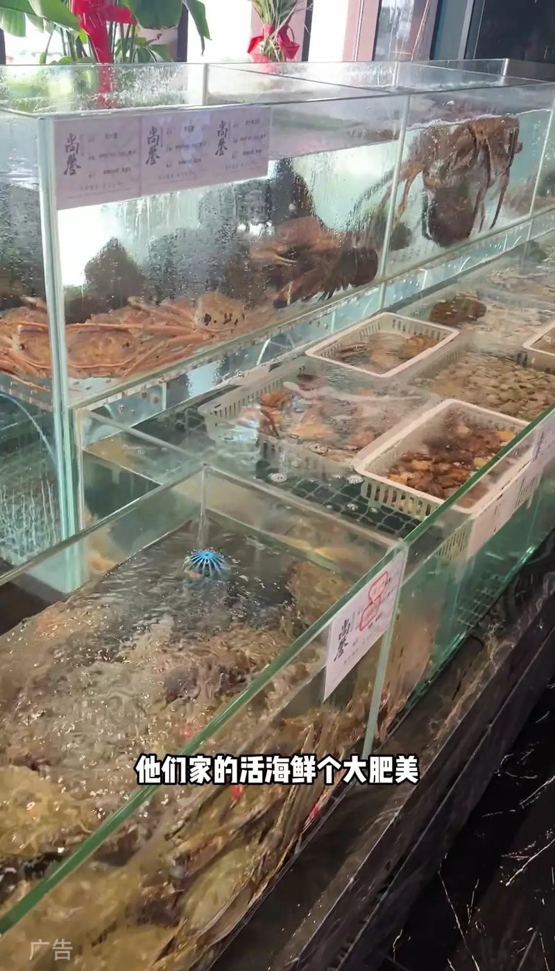 青島和尚魚是雜牌還是名牌 青島和尚魚是雜牌還是名牌 龍魚論壇 第3張
