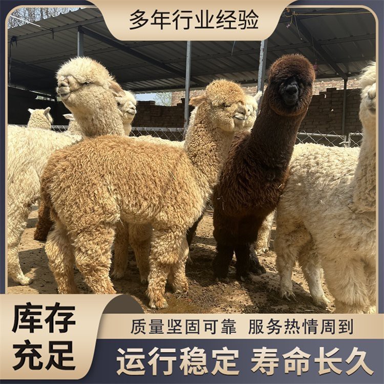 魚缸水渾有什么辦法（如何正確使用凈水劑魚缸水草養(yǎng)護(hù)技巧）