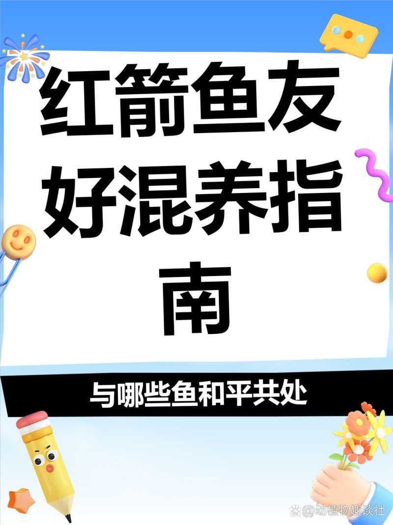 紅箭魚吃孔雀魚嗎 龍魚論壇 第1張 紅箭魚吃孔雀魚嗎 紅箭魚吃孔雀魚嗎 龍魚論壇 第1張