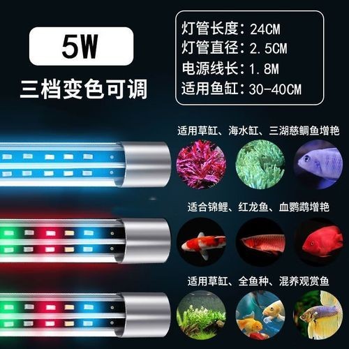 龍魚燈光擺放位置示意圖大全