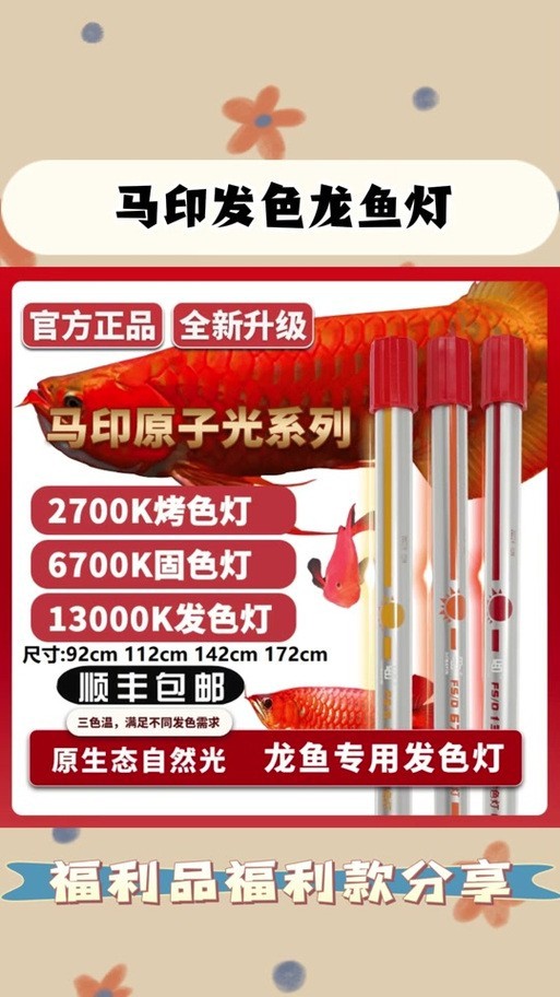 龍魚燈光擺放位置示意圖大全