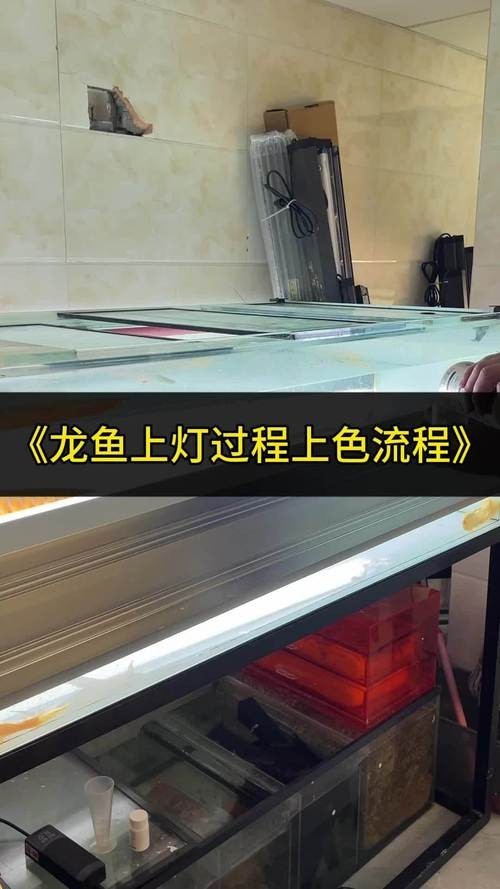 龍魚燈光擺放位置示意圖大全