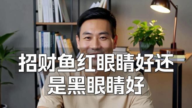招財(cái)魚紅眼好還是黑眼好
