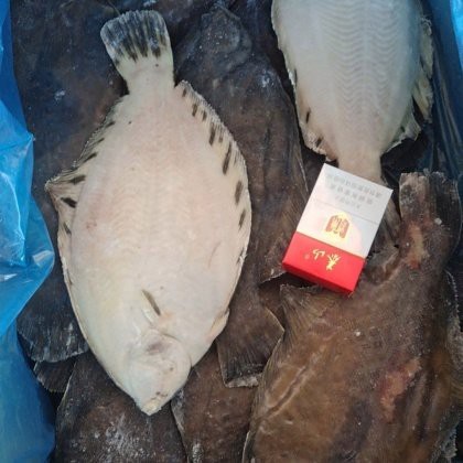 多彩魚價格