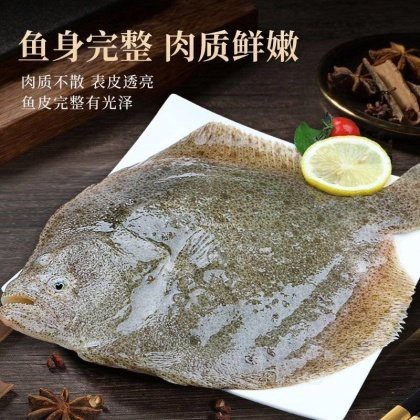 多彩魚價格