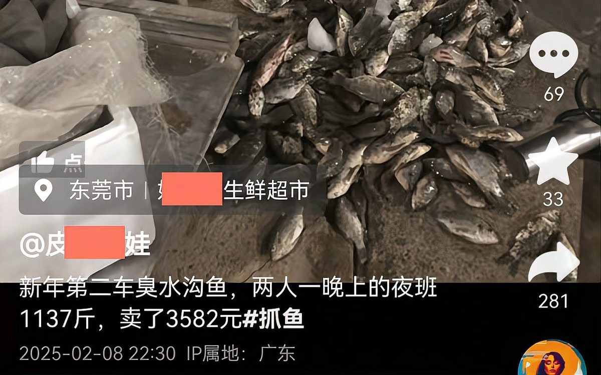 男子在臭水溝抓魚