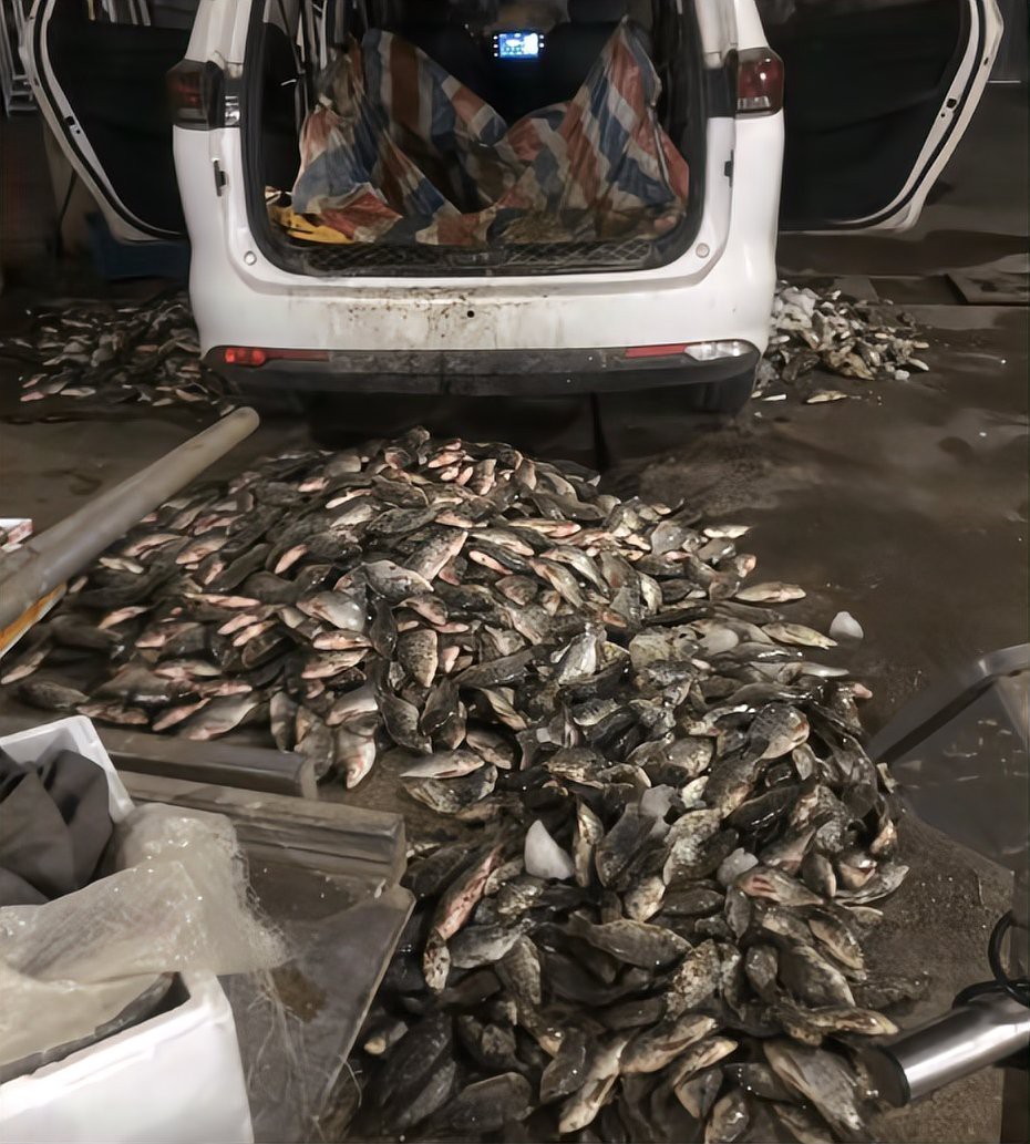 男子在臭水溝抓魚