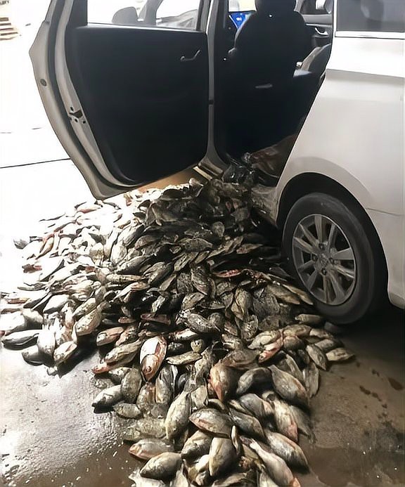 男子在臭水溝抓魚