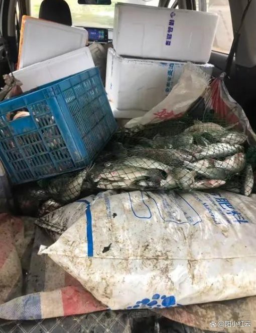 男子在臭水溝抓魚
