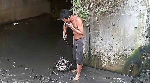 男子在臭水溝抓魚