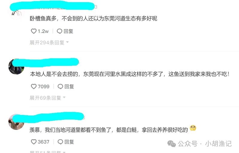 男子在臭水溝抓魚