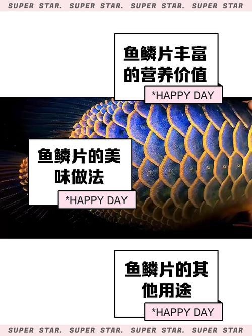 龍魚飼養中哪些品種最昂貴？