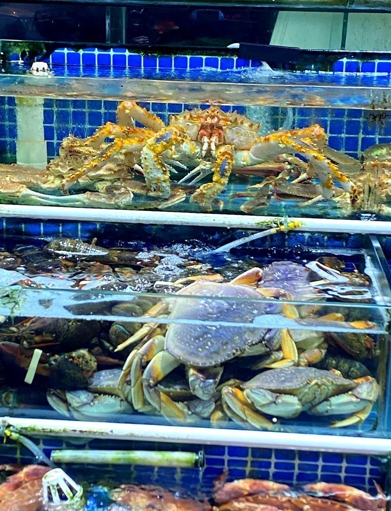 青龍魚市場價(jià)多少一斤