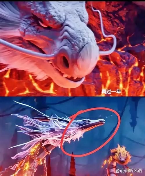 紅龍王圖片 紅龍王圖片 龍魚論壇 第12張
