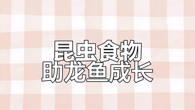 龍魚(yú)可以喂食哪些昆蟲(chóng)？
